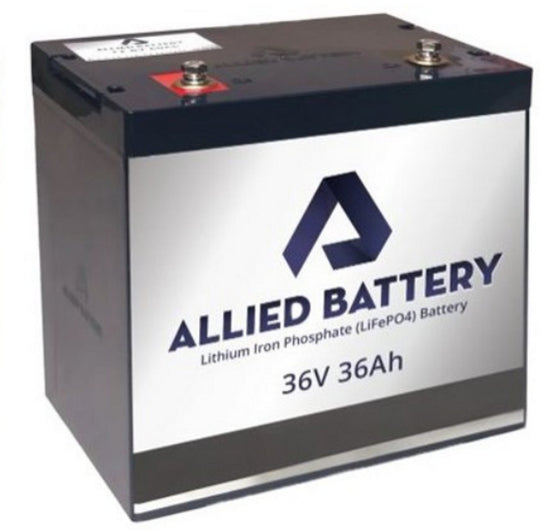 Individual 36V 36 AMP LITHIUM BATTERY